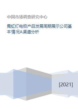 霓虹燈電極產(chǎn)品的生命周期與公司基礎(chǔ)軟件開(kāi)發(fā)及渠道分析