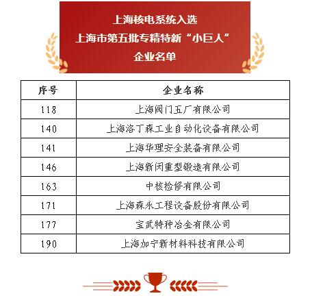 上海閥門(mén)五廠 以突破性閥門(mén)基礎(chǔ)軟件躋身“小巨人”，砥礪前行無(wú)畏創(chuàng)新華章